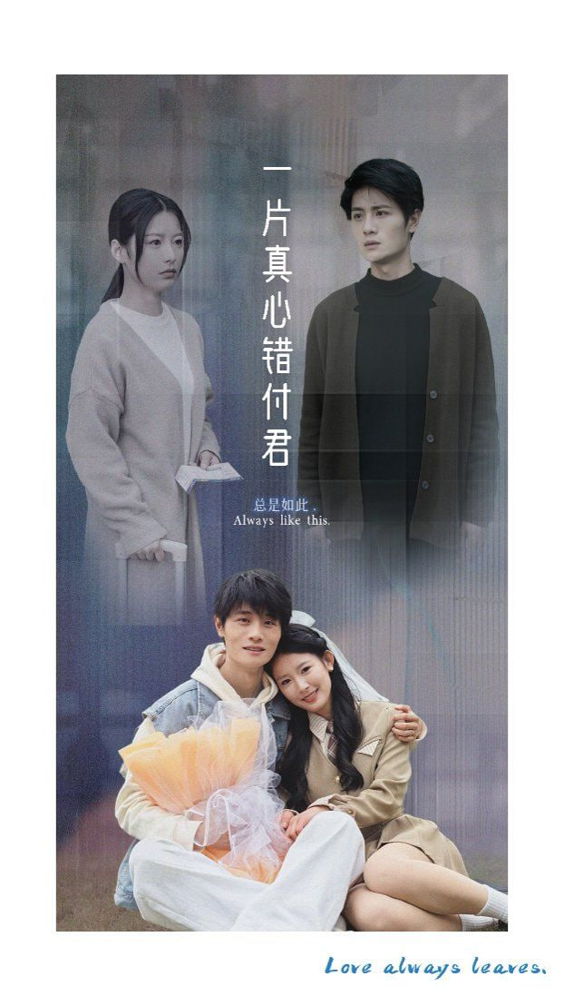 一片真心错付君