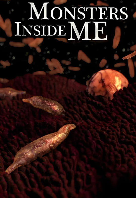 体内的怪物 第一季