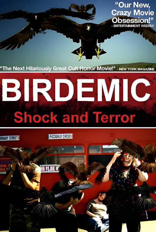 群鸟：震惊和恐怖