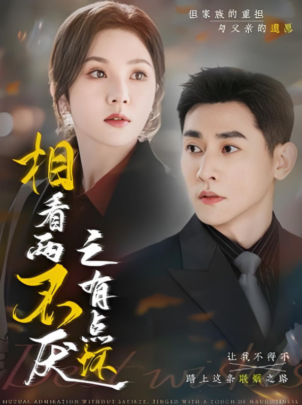 相看两不厌之有点坏