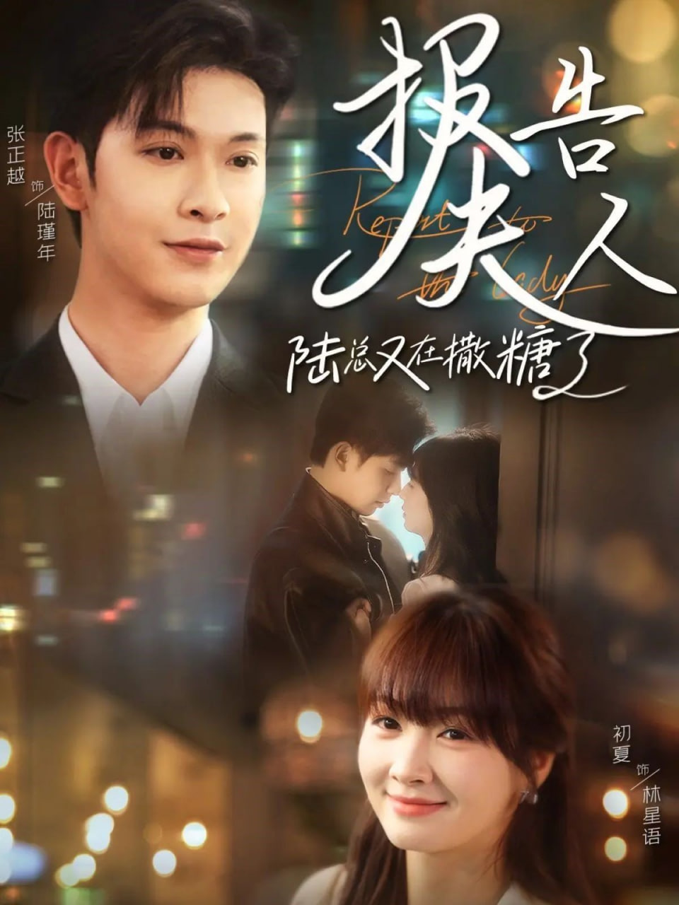 报告夫人陆总又在撒糖了