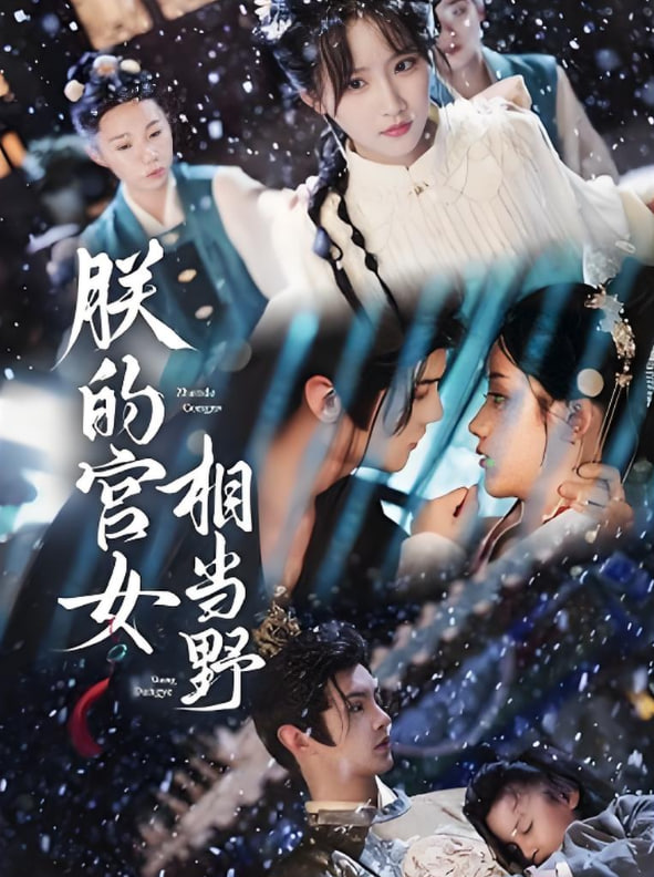 朕的宫女相当野