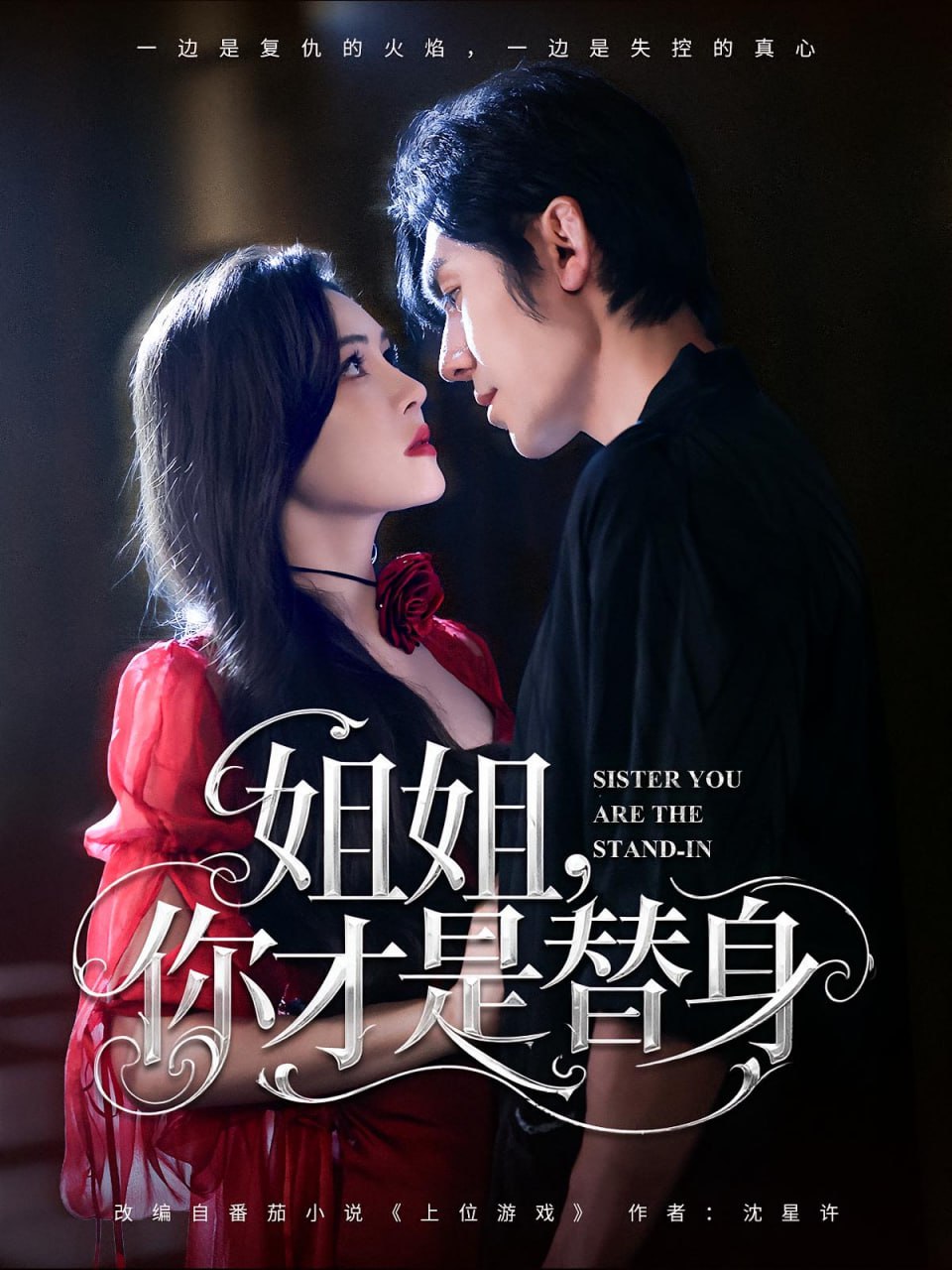 姐姐你才是替身