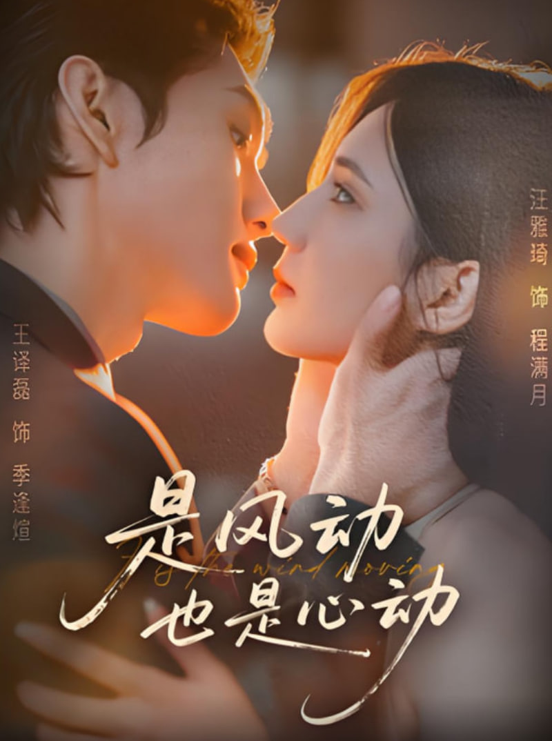 是风动也是心动