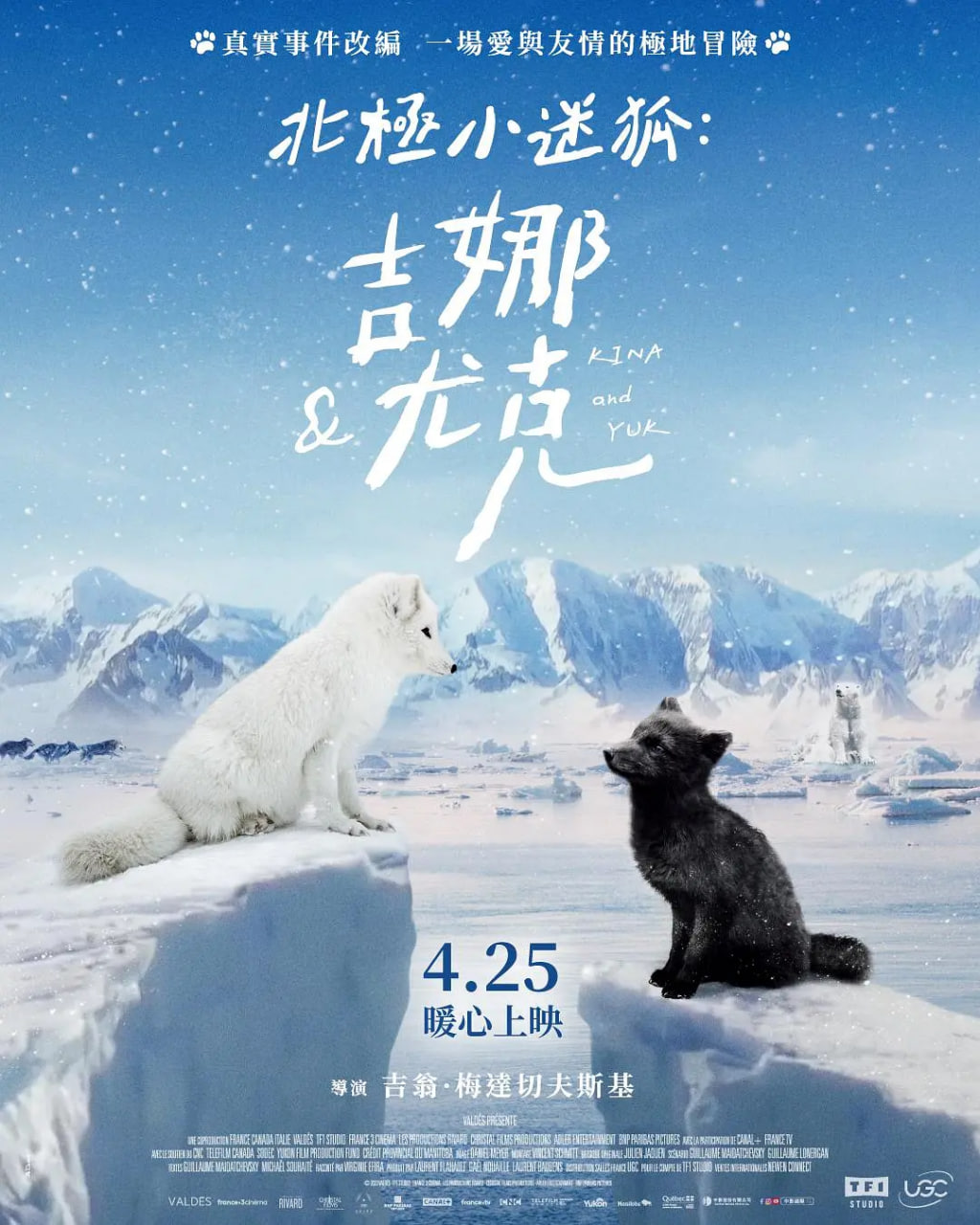 北极小迷狐:吉娜和尤克