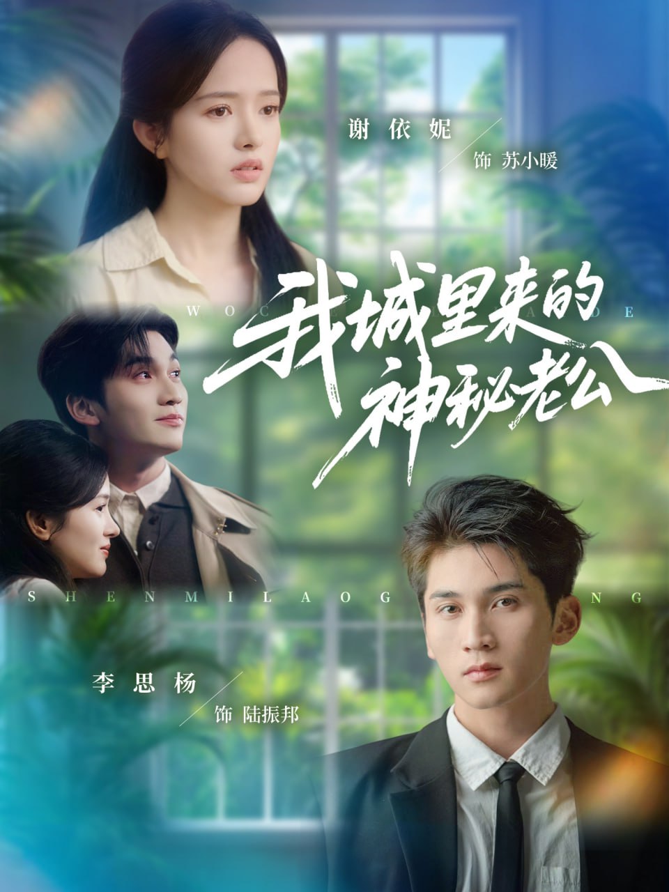 我城里来的神秘老公