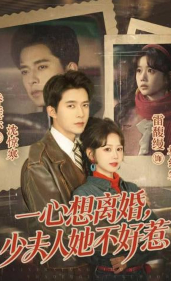 一心想离婚，少夫人她不好惹